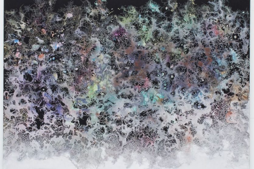 to the surface ©Mayumi Okabayashi