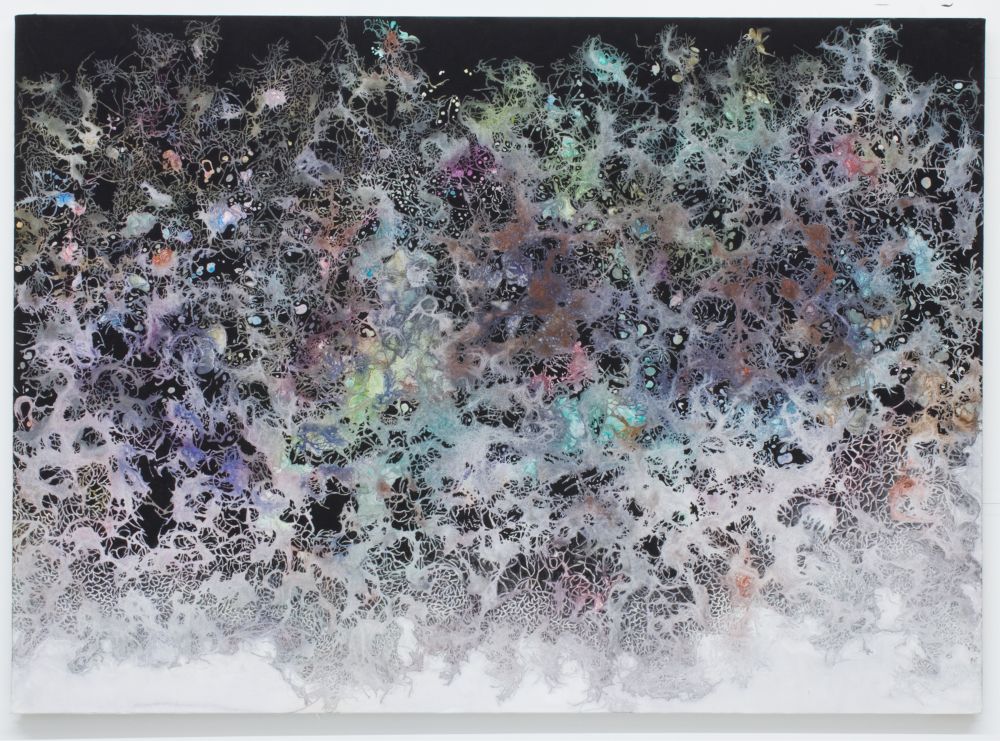 to the surface ©Mayumi Okabayashi